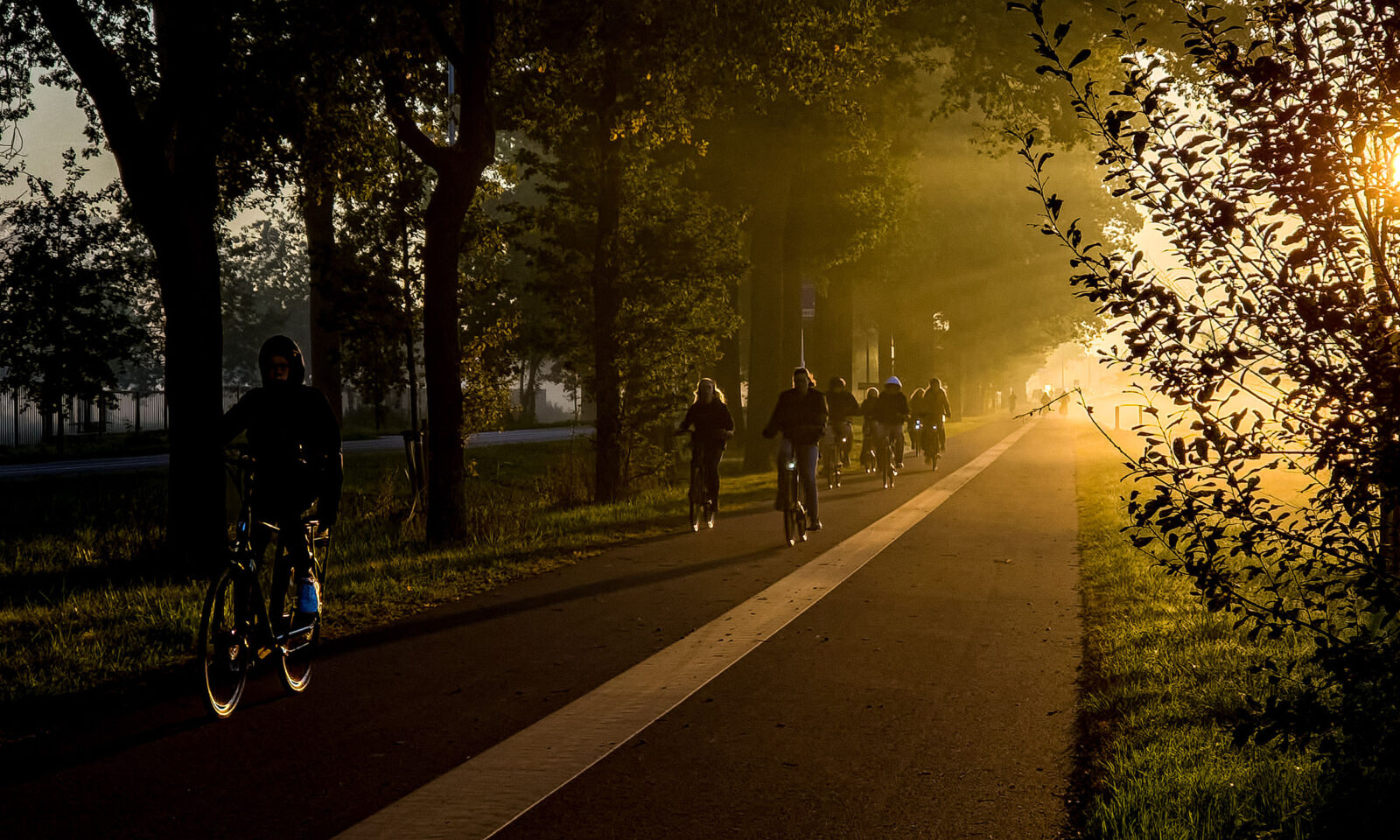 Fietsers op fietspad in de ochtendzon
